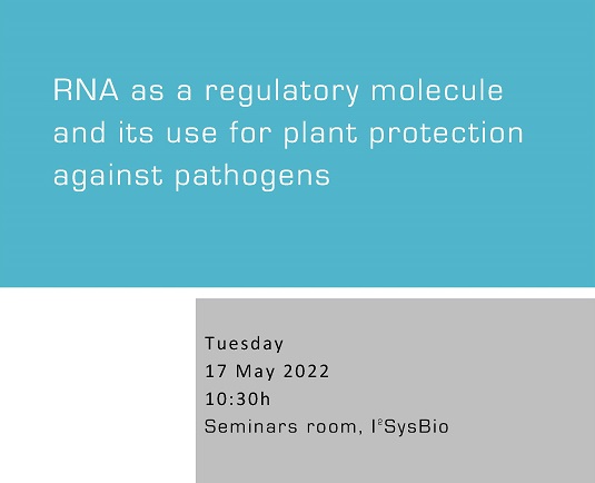 RNA as a regulatory molecule and its use for plant protection against pathogens